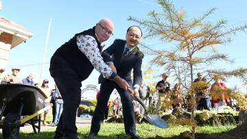 City of Ballarat mayor Des Hudson and Chinese Consul-General Xinwen Fang together help plan rare Chinese native golden larch trees to help grow recognition and appreciation for the city's Chinese heritage. The trees were planted in Ballarat east Town Hall Gardens on April 20, 2024. Picture by Lachlan Bence