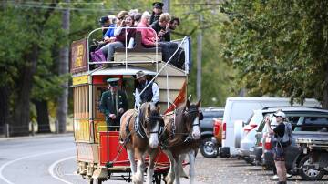 The horse-drawn tram only runs around Lake Wendouree once a year. Picture by Lachlan Bence