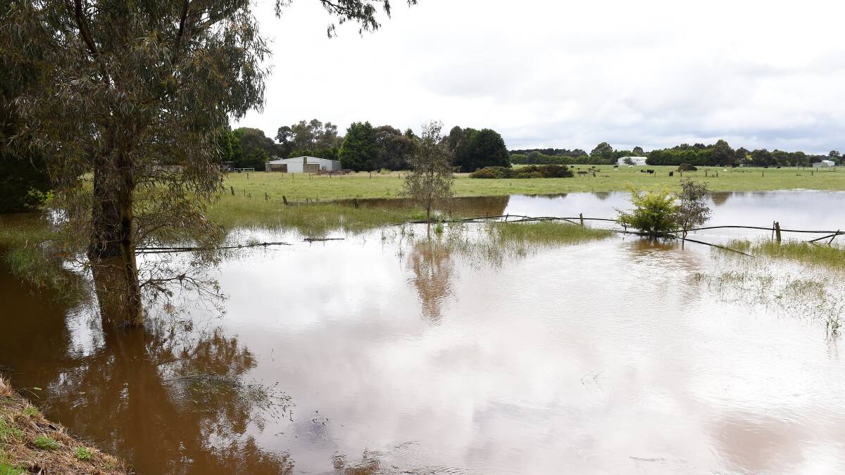 Flooding from Burrumbeet Creek in November, 2022. Picture by Adam Trafford