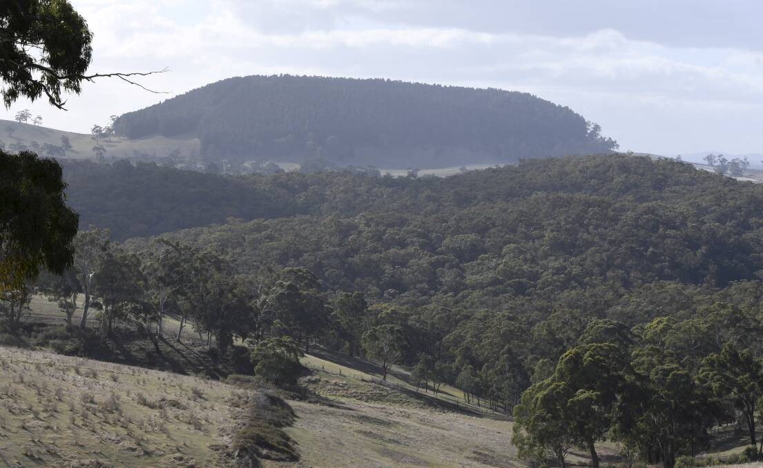 A panorama from the road leading up to the proposed glamping site. Picture by Lachlan Bence