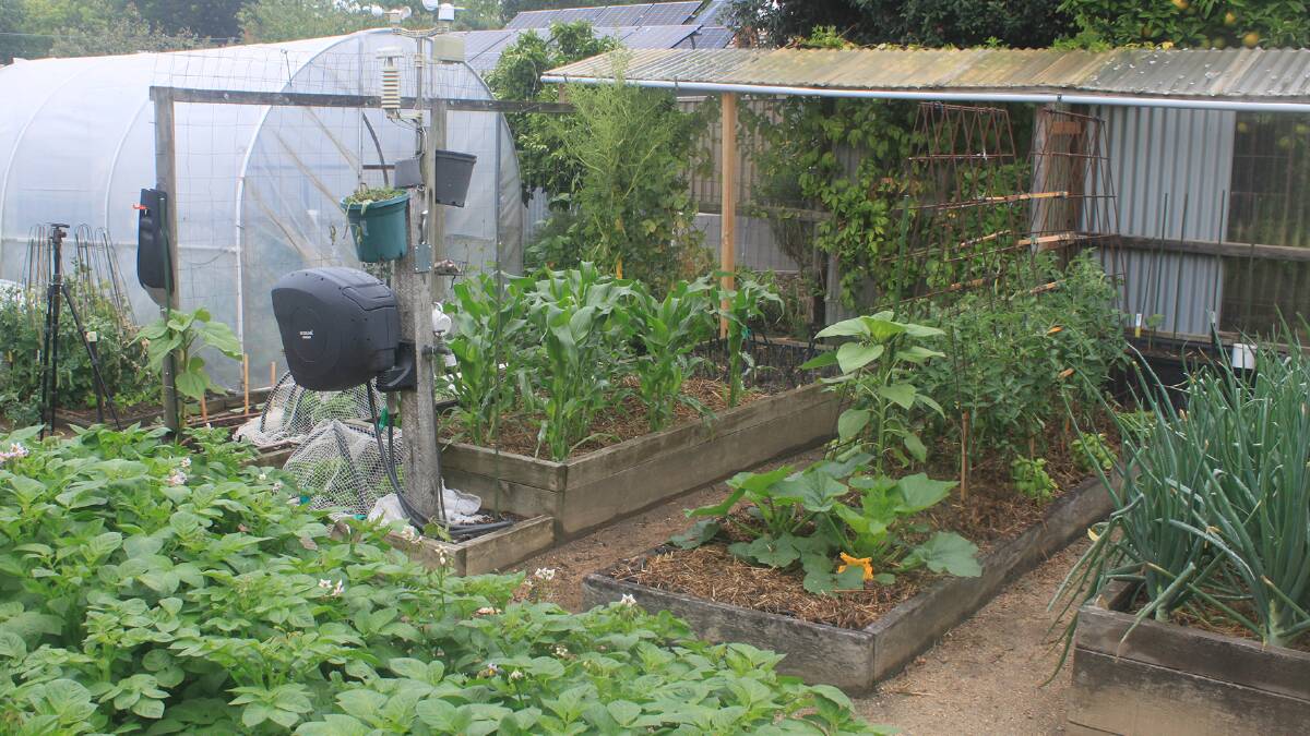 Learn how to grow fruit and vegetables for the Ballarat climate. 