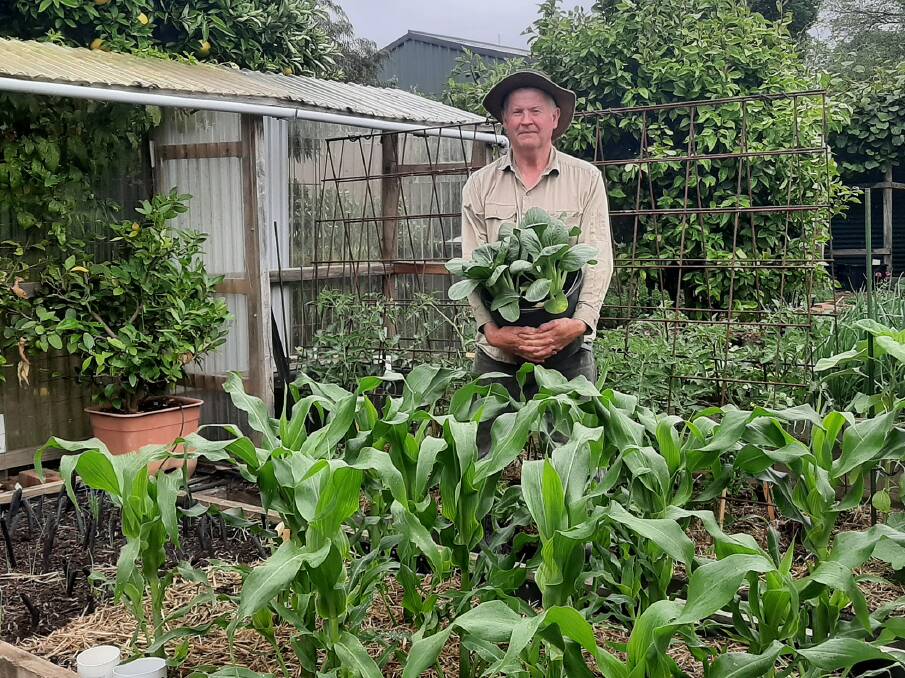 John "Ditchy" Ditchburn stands in his impressive urban garden. Supplied picture
