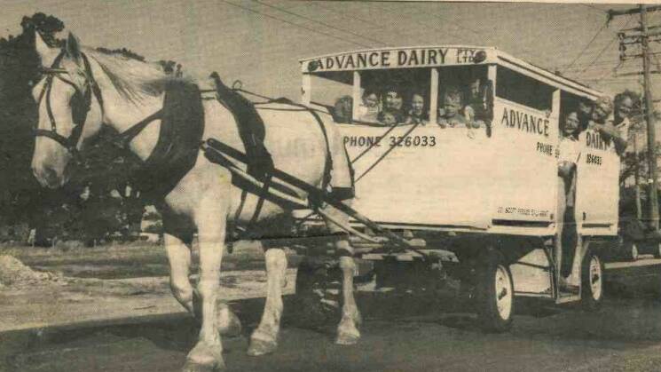 Smokey was one of the last horses to deliver milk by cart as part of the McCann's Advance Dairy company in April 1981. Picture by The Courier.