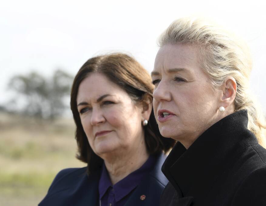 Senator Sarah Henderson and infrastructure spokesperson Bridget McKenzie at the freight hub in BWEZ. Picture by Lachlan Bence