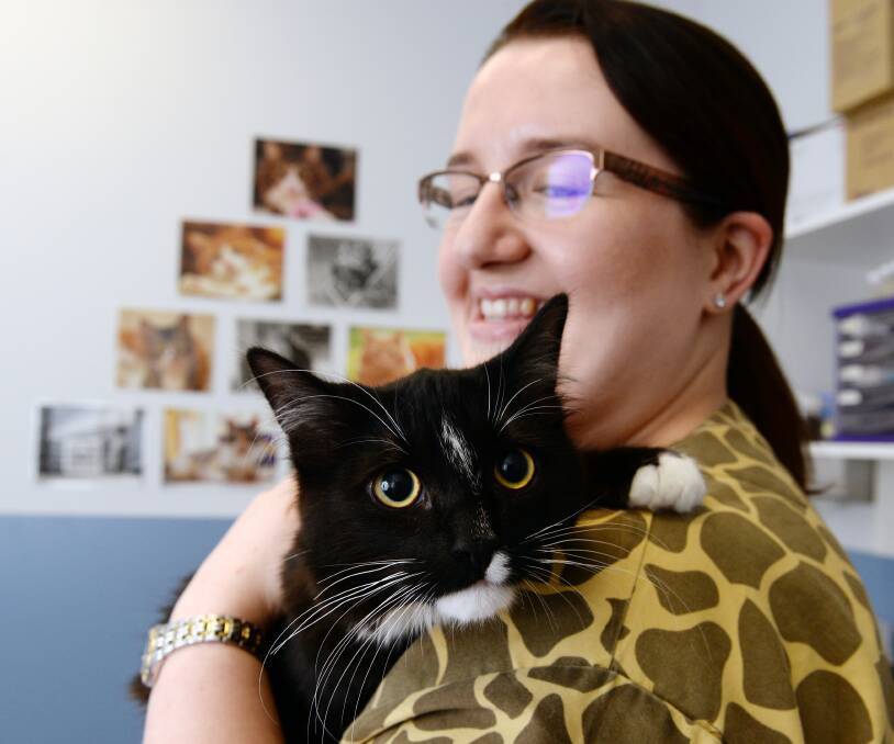 KITTY LOVE: Kristy Oliver cuddles her adopted cat Lord Stumpington who was born with three legs. Picture: Kate Healy