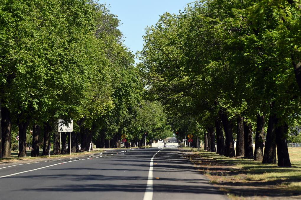 Ballarat's Avenue of Honour, Remembrance Drive.