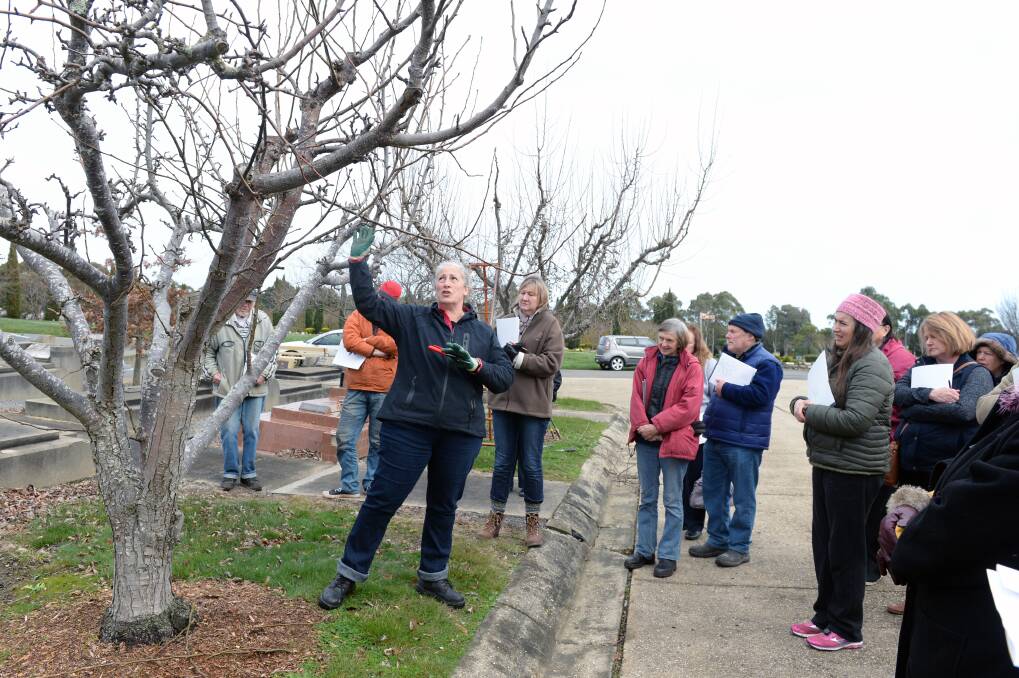 Ballarat New Cemetery hosts public pruning classes on its vast array of fruit trees. Picture by Kate Healy