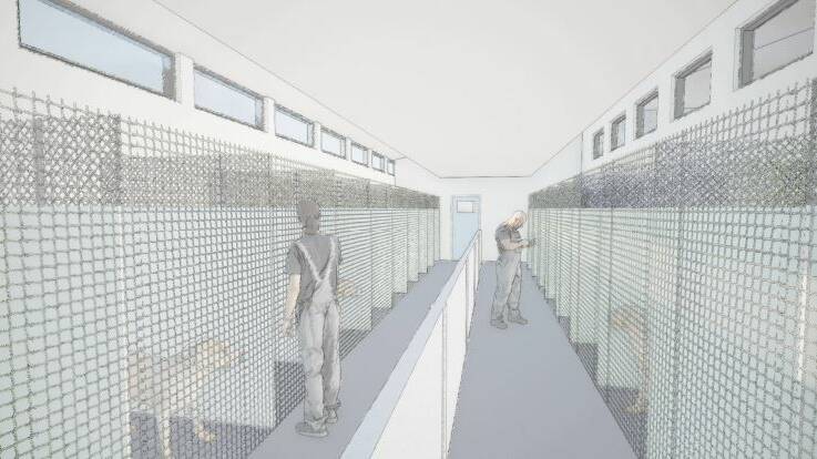 Artists impressions of the dog adoption internal pens for the new Ballarat Regional Animal Shelter.