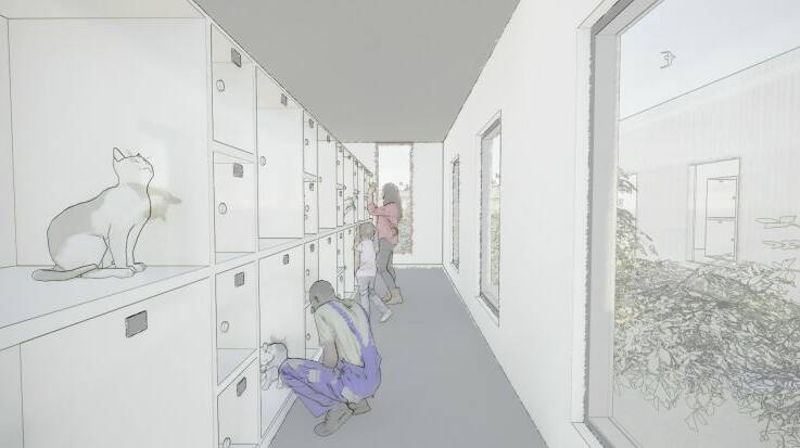 Artists impressions of the new cat healthy hold viewing space at Ballarat Regional Animal Shelter in Mitchell Park.