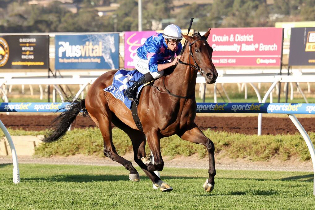 Dominic Sutton's Feroce wins a maiden race in Pakenham in March. Picture by George Sal/Racing Photos)