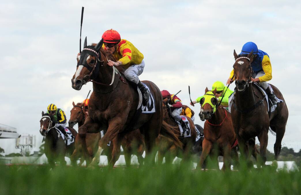 PLATE BOUND: Palentino runs away from stablemate Black Heart Bart in the Makybe Diva Stakes at Flemington. Picture: Getty Images