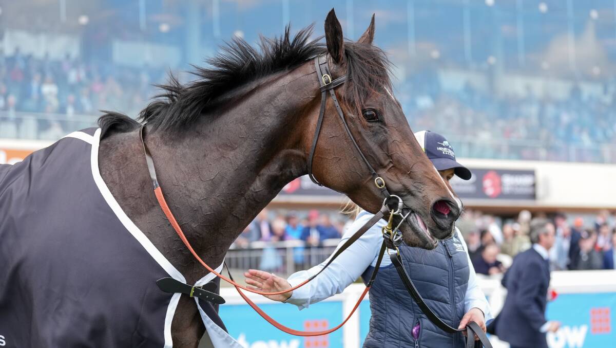 Ballarat-trained mareAsfoora after winning at Caulfield earlier this season. Picture by Scott Barbour/Racing Photos.