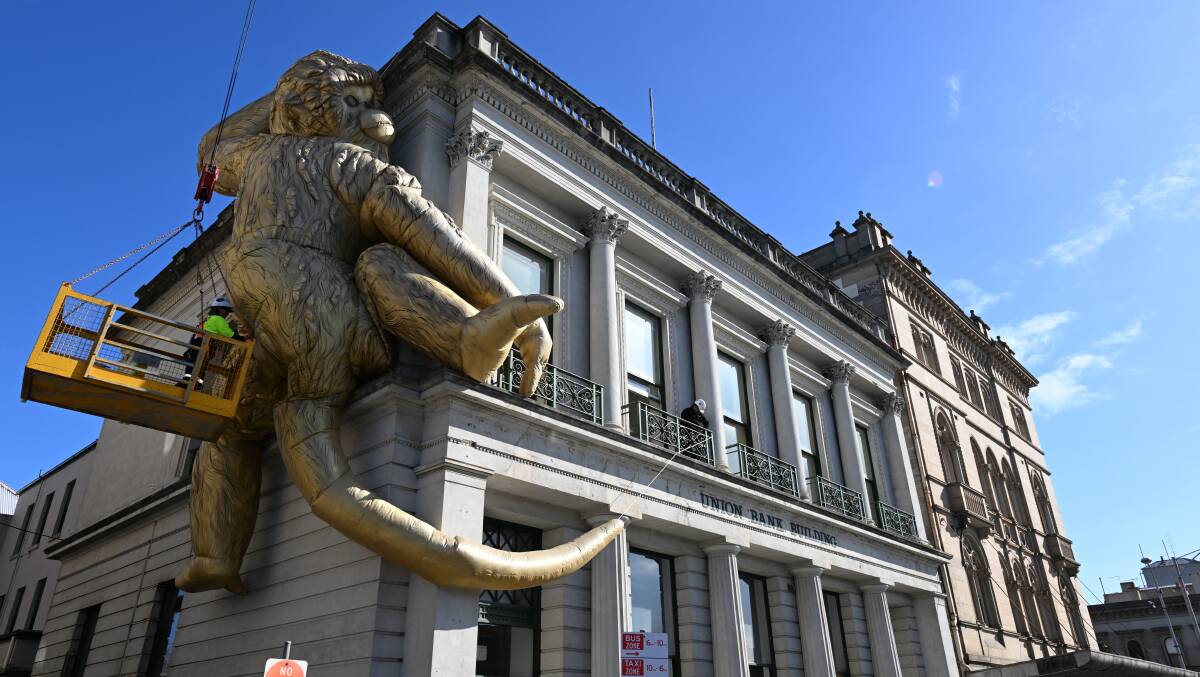 Lisa Roet's Golden Monkey is installed on the corner of the National Centre for Photography, the former Union Bank Building on Lydiard Street. Picture by Lachlan Bence