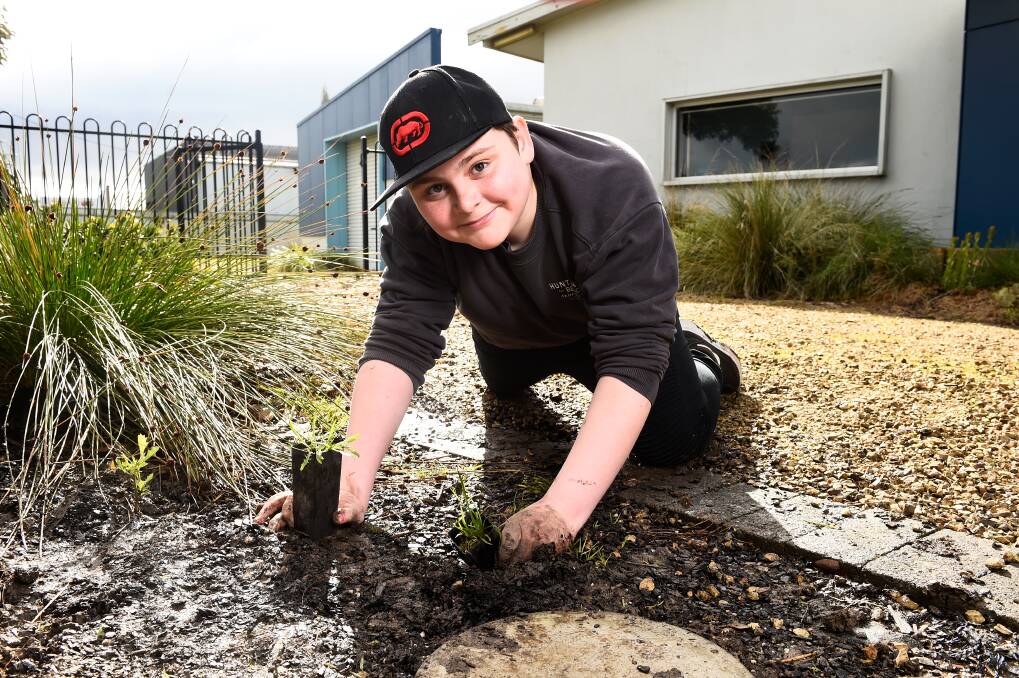 Berry Street School student Lane plans a shrub as part of National Schools Tree Planting Day activities. Picture by Adam Trafford