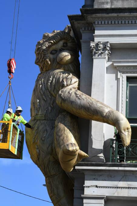 Workers install Golden Monkey on the old Union Bank Building in Lydiard Street. Picture by Lachlan Bence
