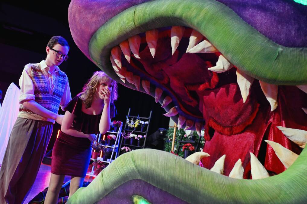Jesse Schnieder as Seymour and Belle Silvey as Audrey with the puppet 'star' of the BCMA production of Little Shop of Horrors. Picture by Kate Healy