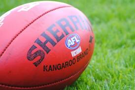 Joint coaches to take charge of CHFL club next season