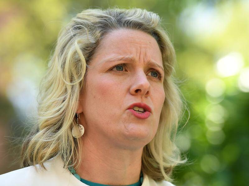 Labor's Clare O'Neil is blaming the government for not giving the royal commission enough time.