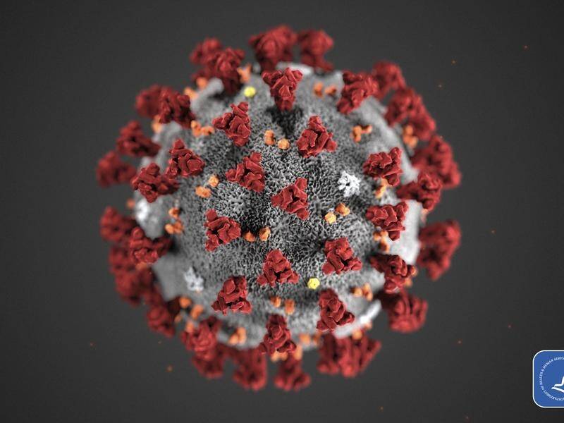 Latest snapshot of the coronavirus impact | The Courier | Ballarat, VIC
