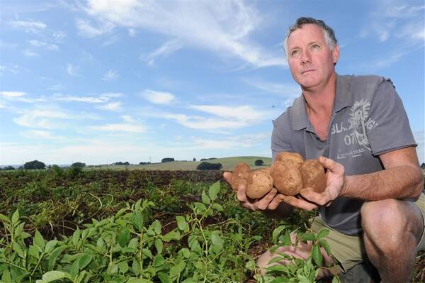 Ballarat potato growers fight for McCain contract prices | The Courier ...
